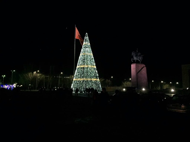 На центральной площади установлена главная елка страны
