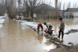 Кара-Буура районунун Аманбаев айылындагы турак үйлөрдү суу каптады