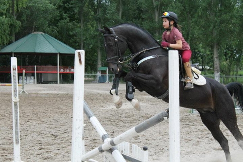 Государственное  агентство  физической культуры и спорта приглашает школьников покататься на лошадях