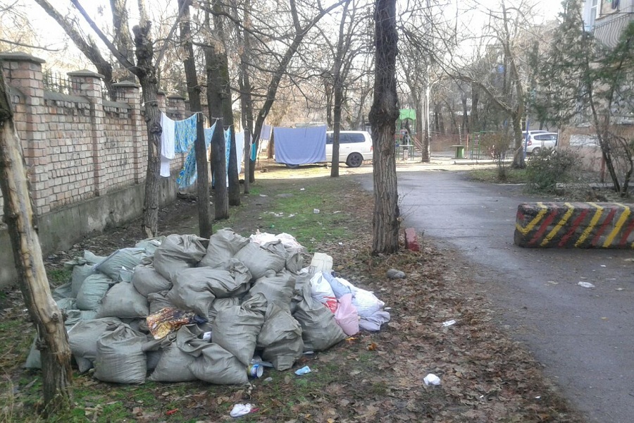 Горожане убирают свои отходы только после предписания СЭИ