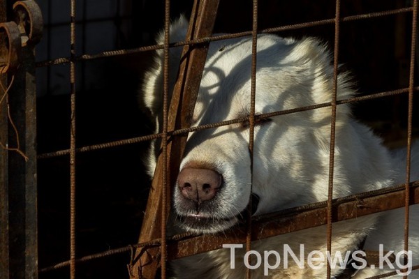 Проверим себя. О чём писатели заставляют нас задуматься?