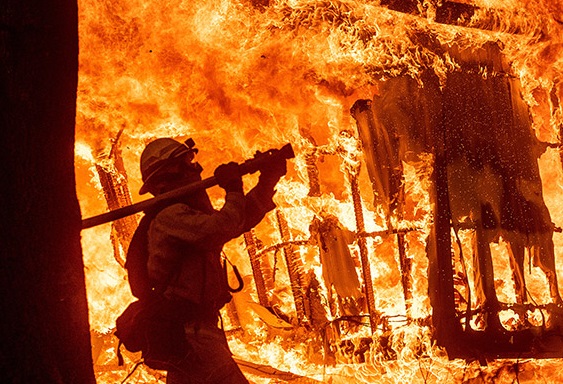 В столице во время пожара сгорели экзотические животные и кафе