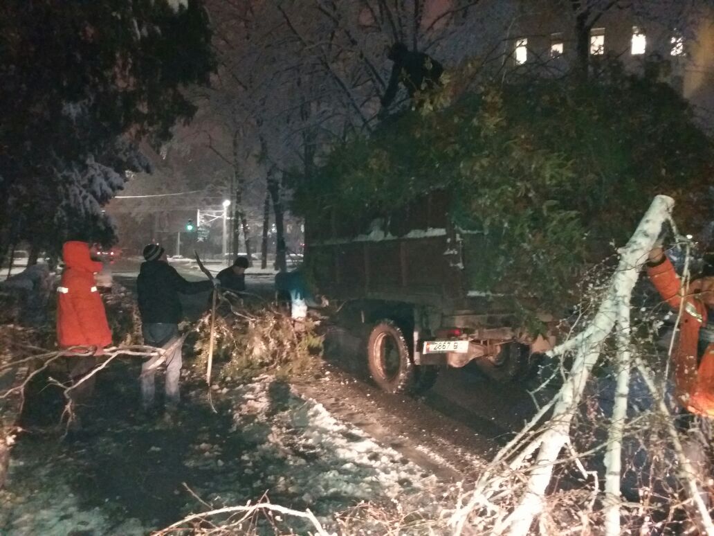 В Бишкеке на женщину упала намокшая от снега ветка