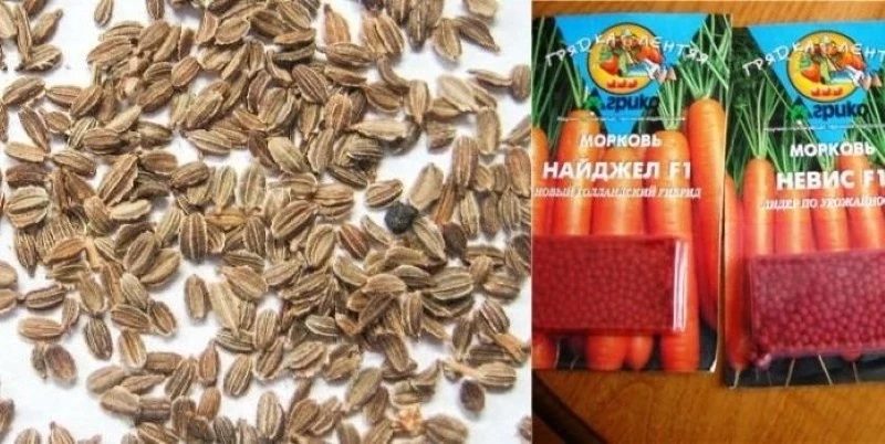 Фермеры КР могут покупать семена на льготных условиях