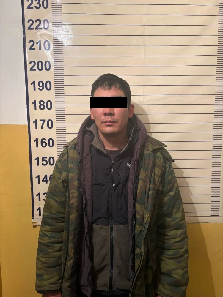 С пастбища в Чуйской области украли лошадей. Задержан подозреваемый
