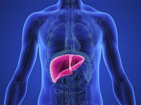 В Бишкеке начали бесплатно обследовать печень на аппарате FibroScan