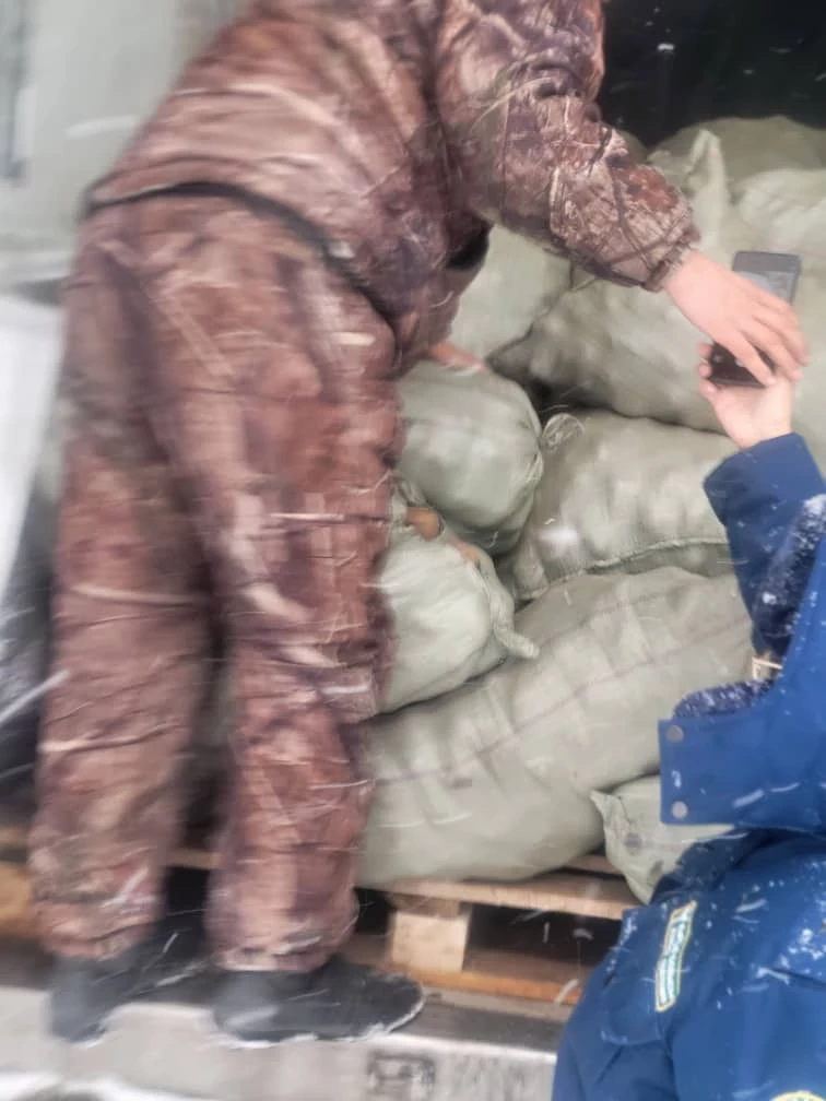 В Кыргызстан не дали ввезти 20 тонн картофеля из Монголии
