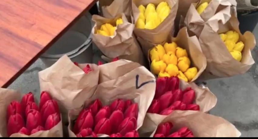 Моссовет заполонили продавцы цветов к 8 Марта (видео)
