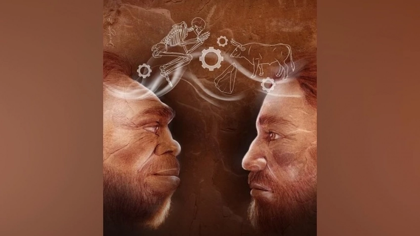 Ученые обнаружили, что неандертальцы и Homo sapiens активно обменивались технологиями, образом жизни и погребальными обычаями