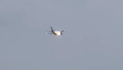 В США пассажирский самолёт загорелся в воздухе из-за кролика