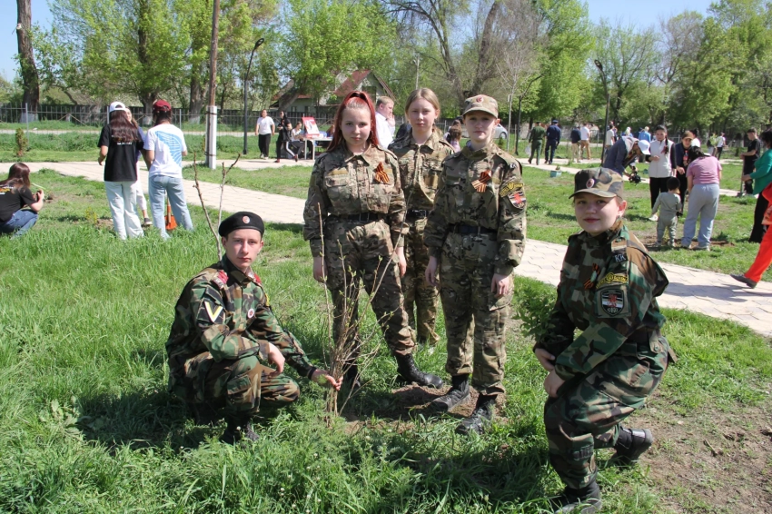 Сад памяти. В селе Кайырма высадили 150 саженцев в память о павших в ВОВ