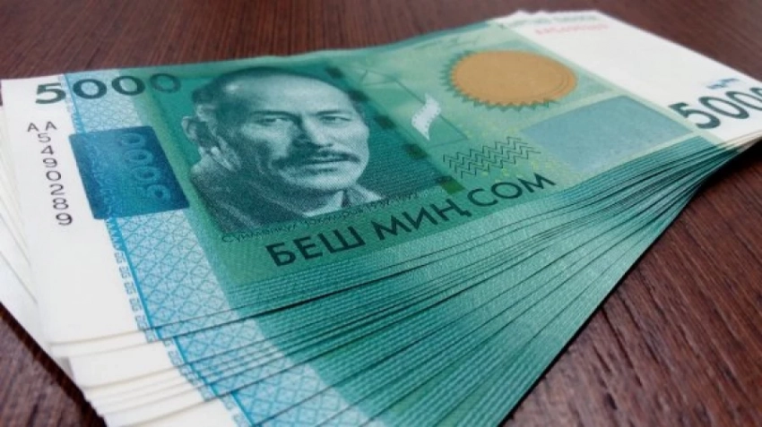 ГСО за 4 месяца выплатила более 19 млн сомов страховых выплат