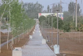 В Оше появится аллея имени поэта Жолона Мамытова