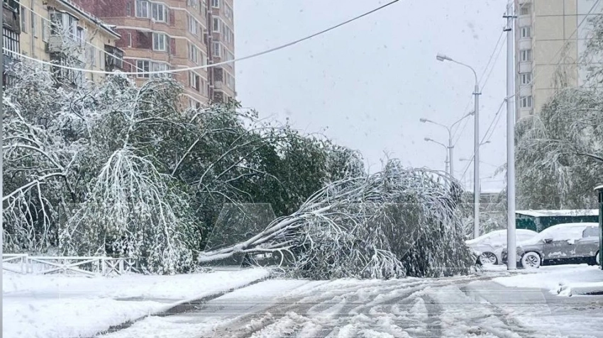 На Москву обрушился снегопад, побит рекорд 116-летней давности