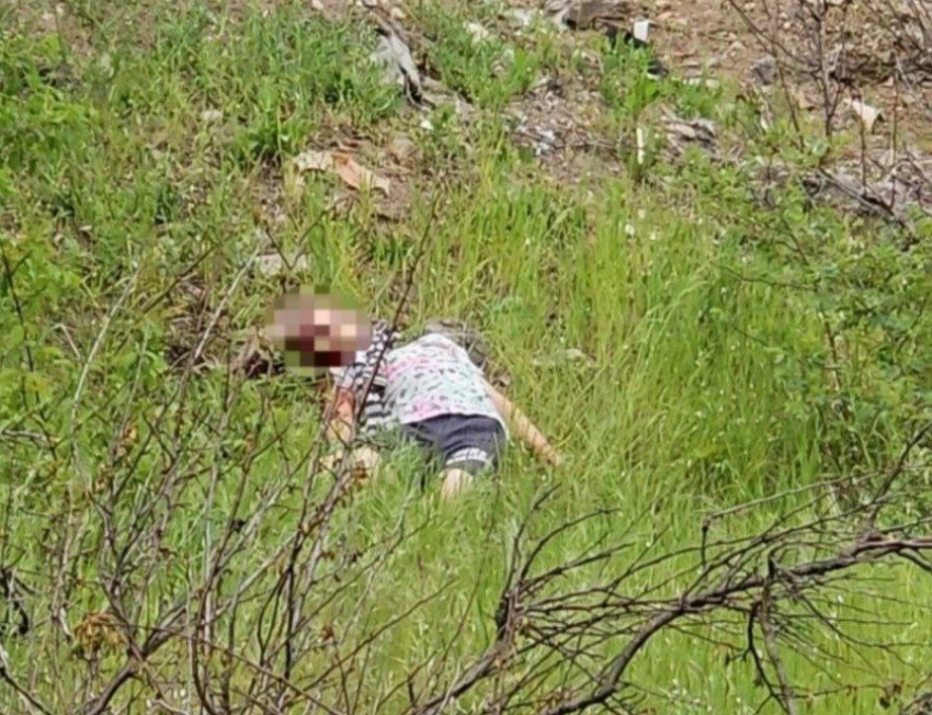 В России задержали 14-летнюю подражательницу битцевского маньяка