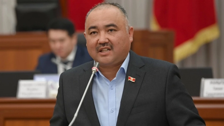 Спикер ЖК назвал не служивших парней "висящей колбасой"