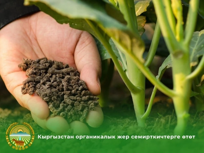 Кыргызстан откажется от минеральных удобрений в пользу органических