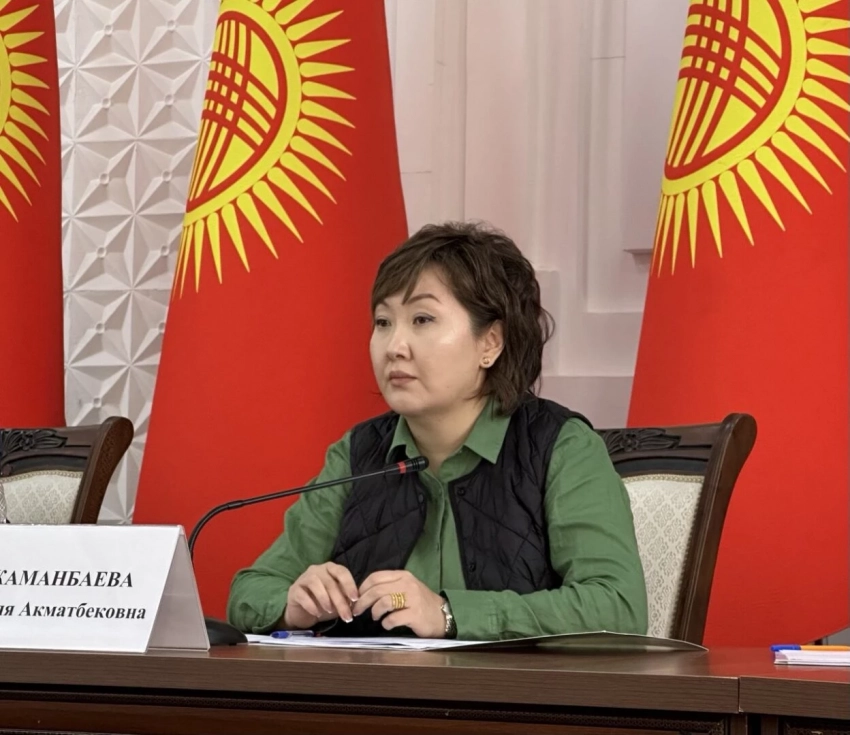 Омбудсмен Кыргызстана призвала министра обороны навести порядок в Республиканском сборном пункте Вооруженных сил