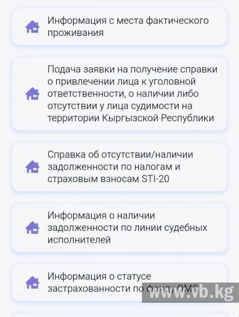 Как кыргызстанцы могут получить справки о несудимости онлайн