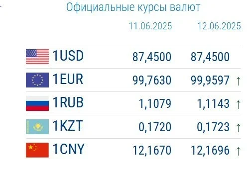 Курс валют в коммерческих банках 12 июня: евро - дороже 100 сомов