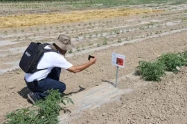 Фермеров Кыргызстана обучили работе в условиях меняющегося климата