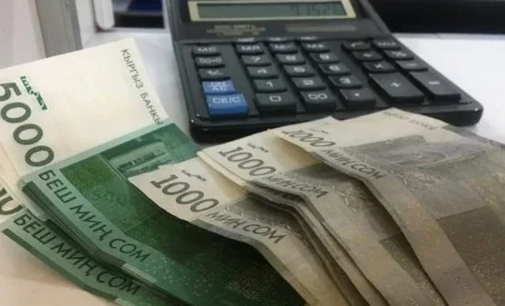 Почти 92 млн сомов направлено на компенсации взамен льгот
