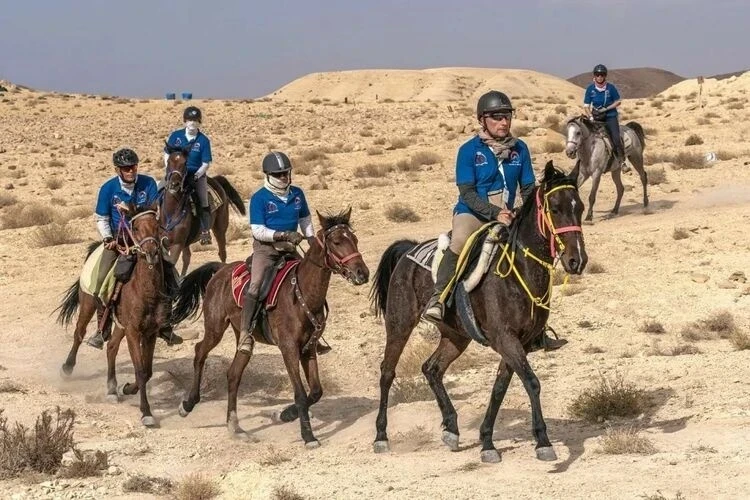 Впервые в Кыргызстане пройдет международное конное ралли Gallops
