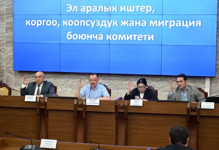 Комитет Жогорку Кенеша одобрил законопроект о ратификации соглашения с Венгрией о воздушном сообщении в третьем чтении