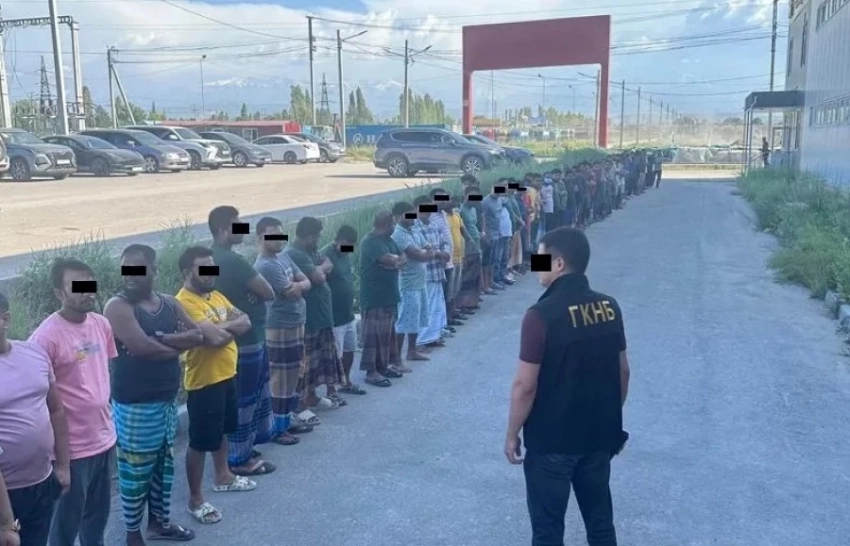 Операция «Нелегал». «Надо наводить порядок»
