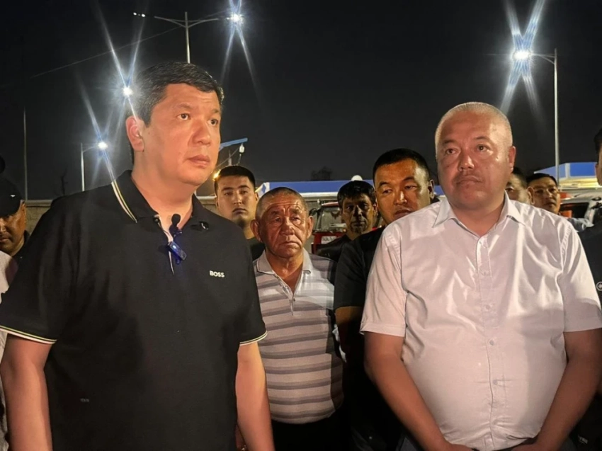 Город чахнет, город сохнет... Мэр объявил выговор директору МП "Бишкекзеленстрой"