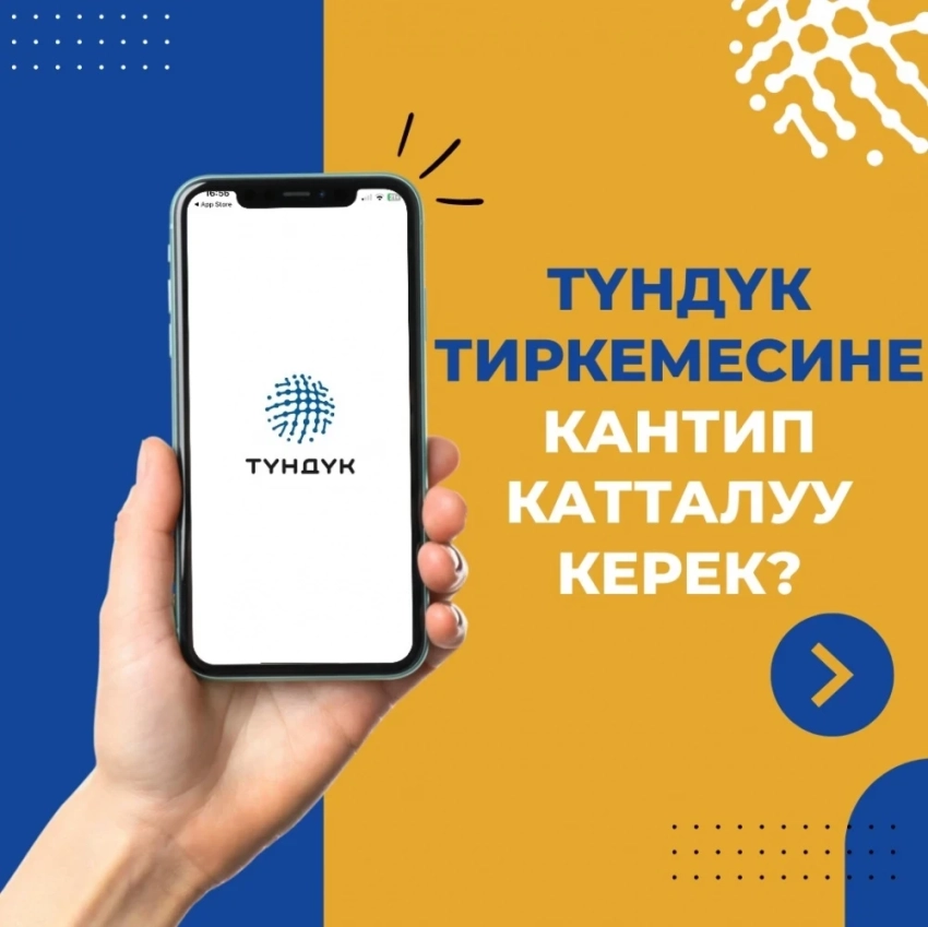 Как получить справку о несудимости через "Тундук": пошаговая инструкция