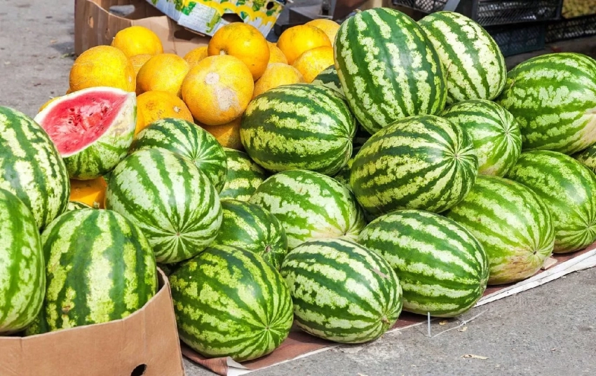 Минсельхоз КР: Для продажи арбузов, дынь и овощей определены и подготовлены специальные торговые площадки