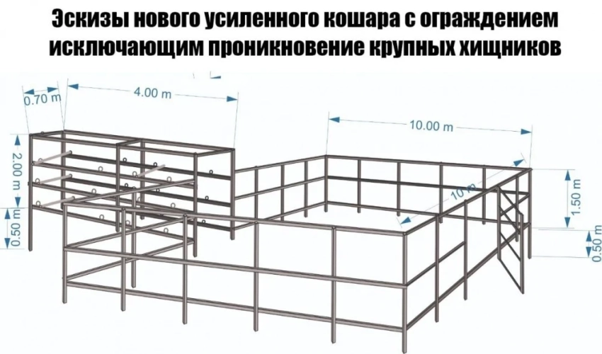 Чабанам, у которых погибли сотни овец, построят новую усиленную кошару