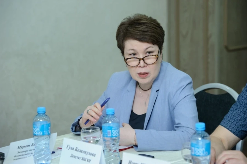 Депутат: Пакет документов по госязыку противоречит Конституции КР