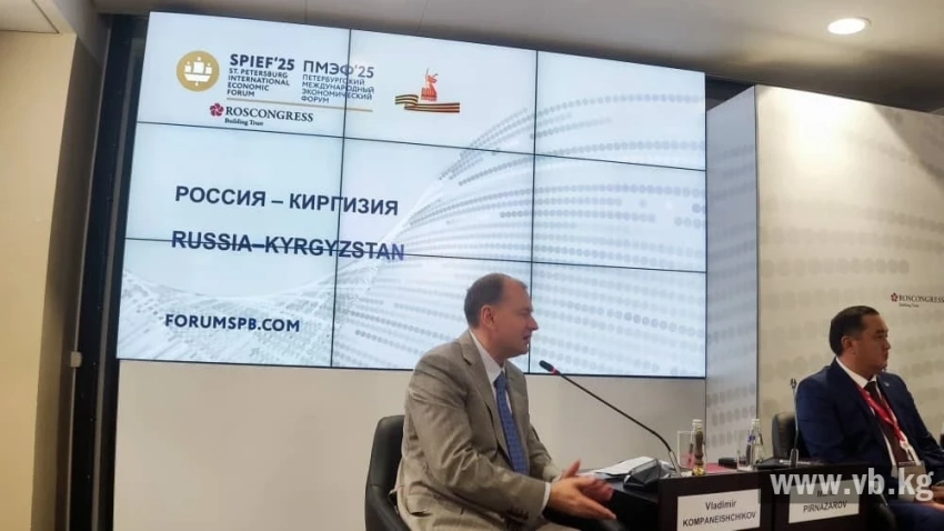Глава "Росатома" предложил вместо "Киргизии" писать "Кыргызская Республика"