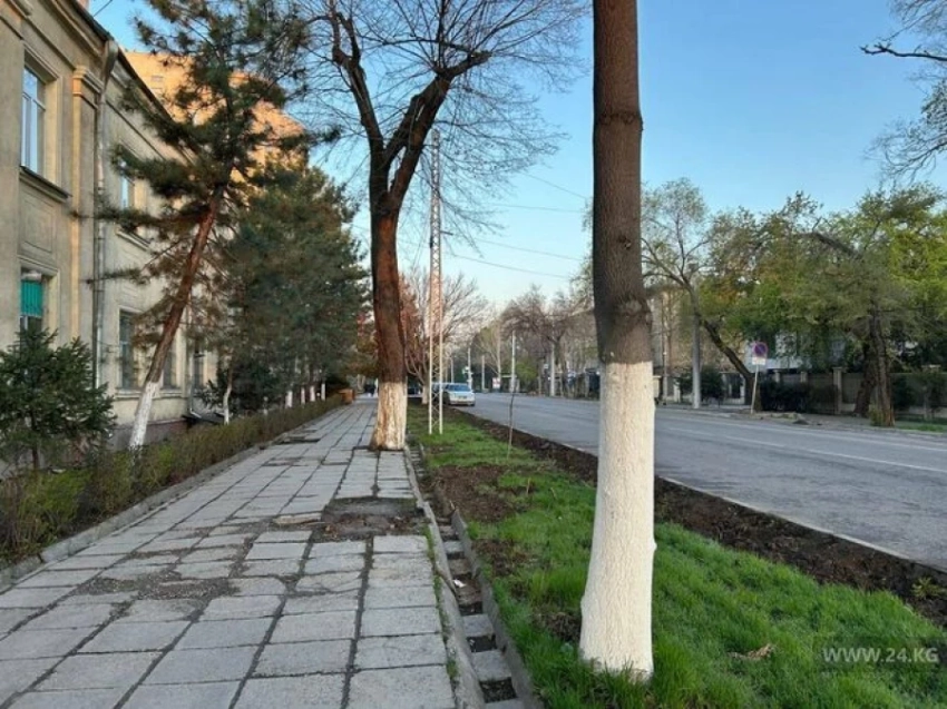 Эксперт рассказал, почему в Бишкеке люди дышат пылью с дорог