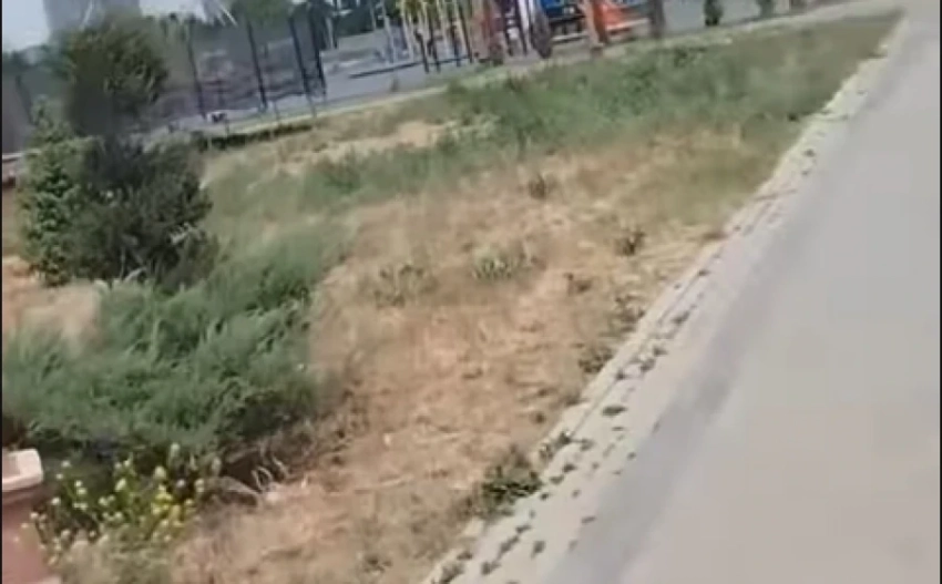 Бишкекский парк Дружбы Азербайджана и Кыргызстана в запустении