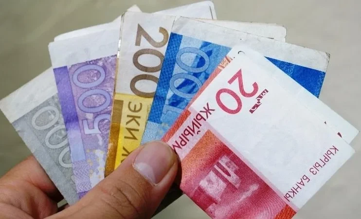 Соцфонд КР за январь-июнь 2025 года назначил пенсию 31255 гражданам