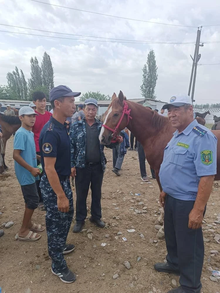 В Кыргызстане прошел рейд против кражи скота. Выявлено множество нарушений