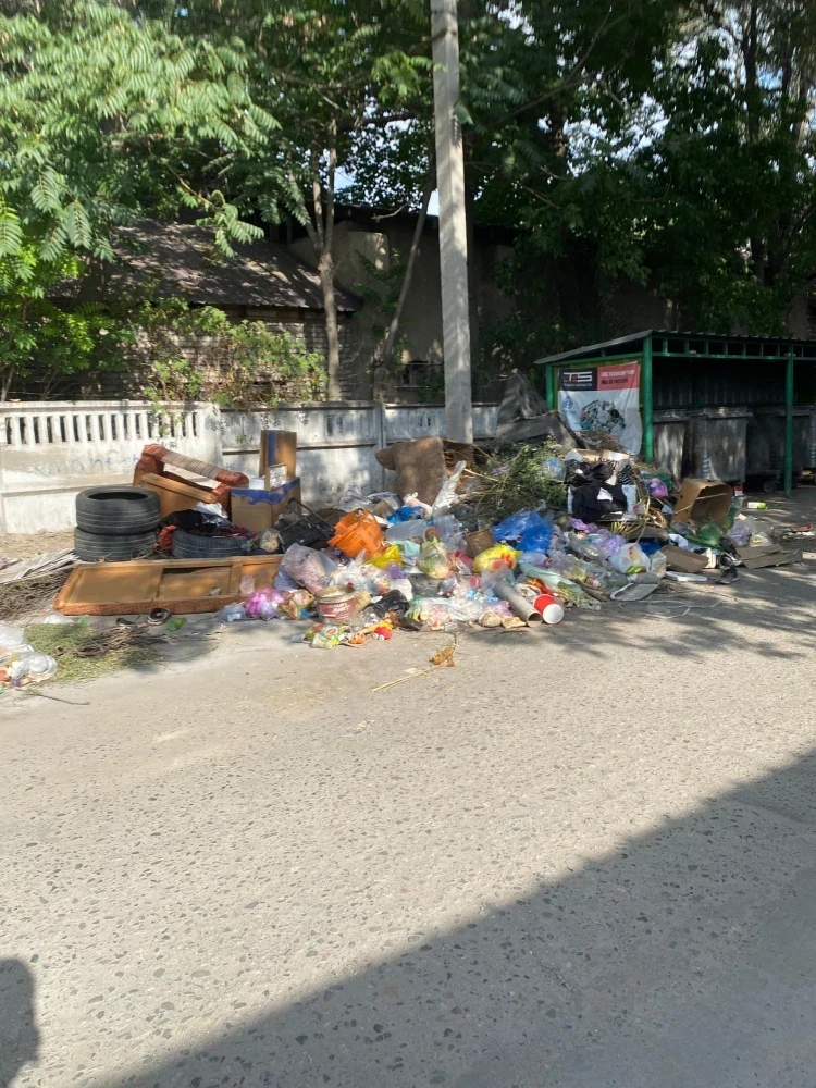 Горожане пожаловались на вонь и попросили убирать мусор вовремя. Ответ мэрии