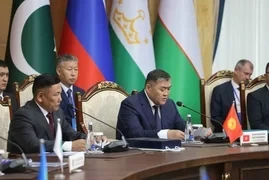 Пограничные ведомства стран ШОС обсуждают обстановку на границах и итоги операции «Солидарность – 2024»