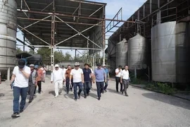 В Минсельхозе озаботились восстановлением виноградников и винодельческого завода в Аламудунском районе