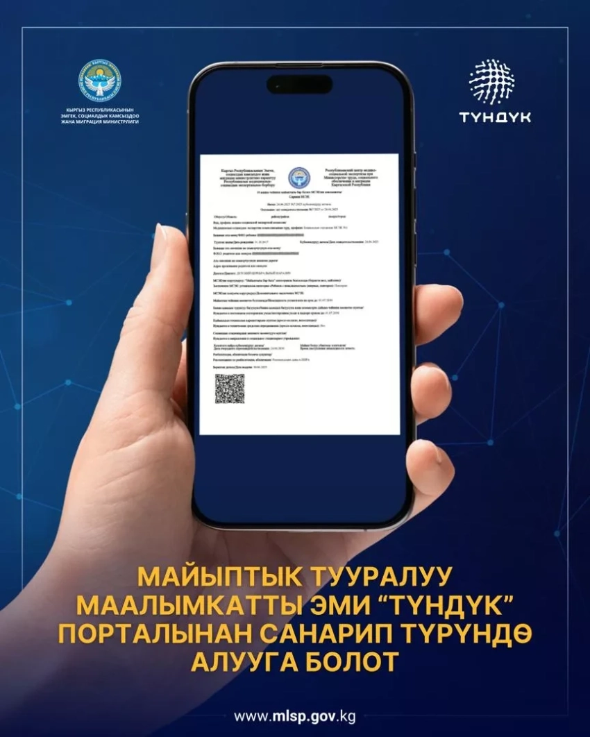 Минтруда КР перевело оформление справки МСЭК в электронный формат