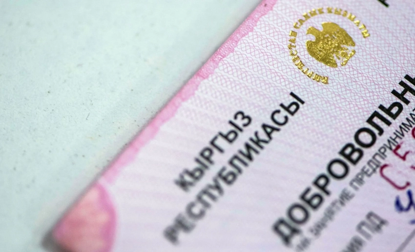 Глава ГНС: Патентная система упрощает выполнение налоговых обязательств для предпринимателей
