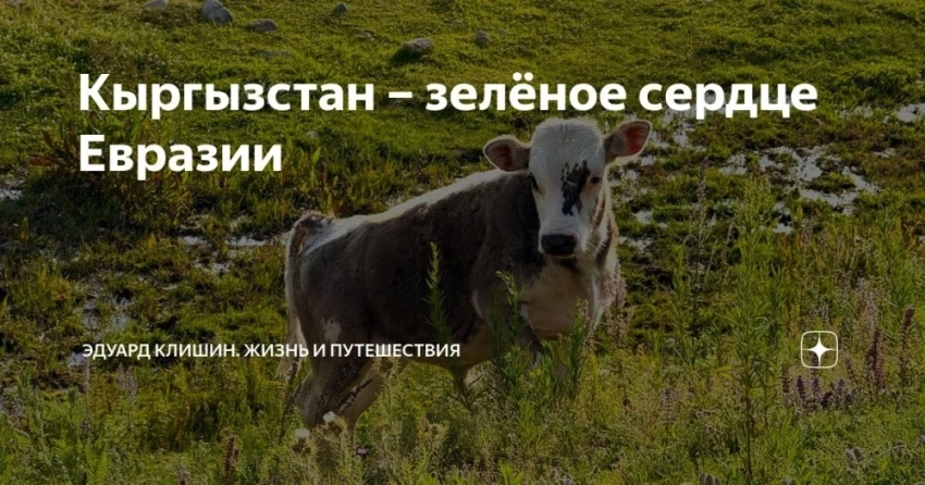 Фотоблогер из РФ поделился впечатлениями от ущелья "Каркыра"