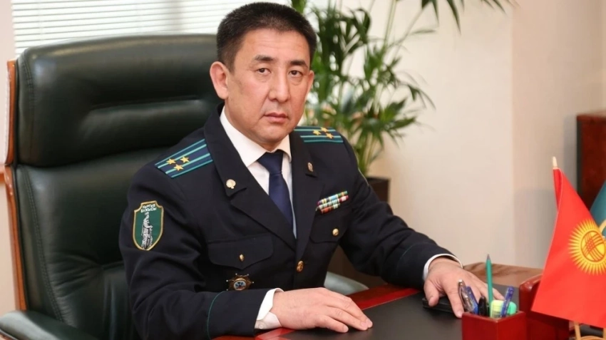 Алмаз Салиев стал главой Таможенной службы