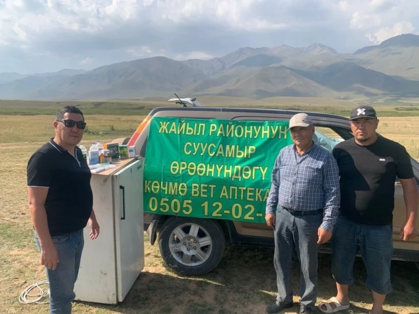 На пастбищах Кыргызстана организуются мобильные ветеринарные аптеки