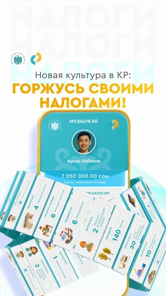 Новый сервис ГНС. Куда уходят налоги кыргызстанцев