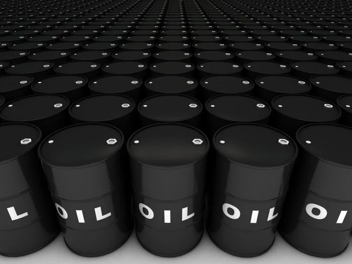 США заявили о выгоде богатейших семей Индии от закупок российской нефти — Bloomberg