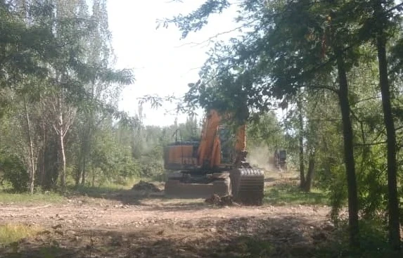 Мэрия Бишкека продолжает массовую вырубку в парке Ататюрка